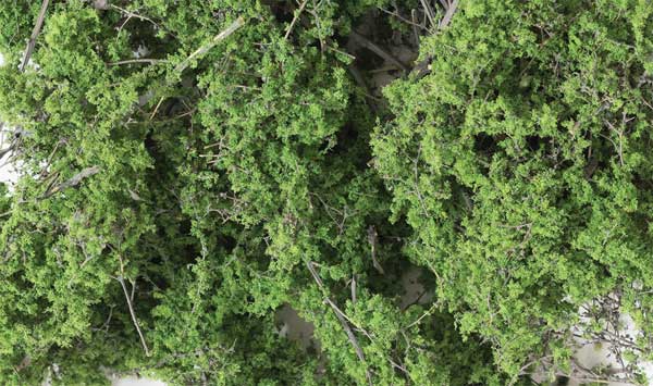 WS Fine Leaf Foliage 75 Cu. In 1131