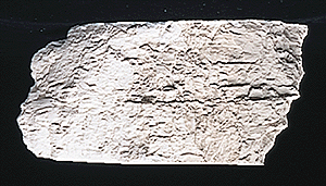 WS Earth Colors Liquid Pigment 4oz 118mL Concrete