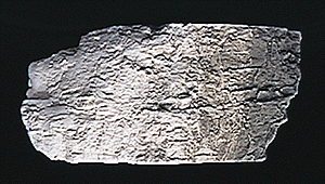 WS Earth Colors Liquid Pigment 4oz 118mL Stone Gry