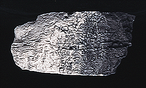 WS Earth Colors Liquid Pigment 4oz 118mL BLK