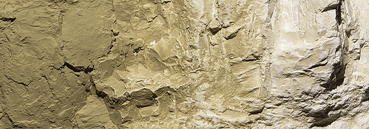 WS Earth Colors Liquid Pigment 4oz 118mL YLW