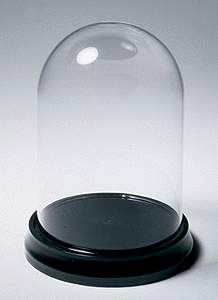 WS Glass Display Dome w/Plastic Base