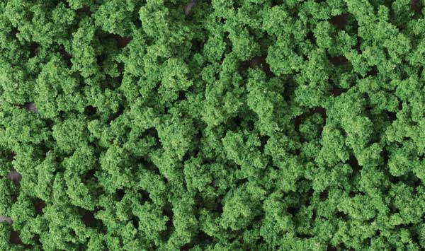 WS Bushes Clump Foliage 18 cu.in M Grn