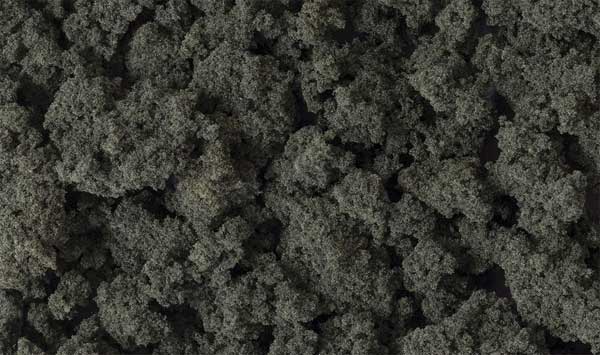WS Clump Foliage 3 Qt Conifer
