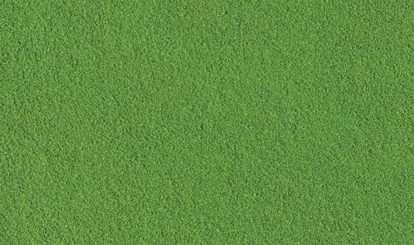 WS Fine Turf 21.6 cub inches GRN Grass