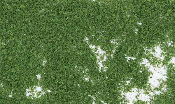 WS Foliage 90.7 Sq In Md Grn