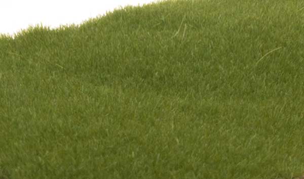 WS Static Grass Drk Grn 613