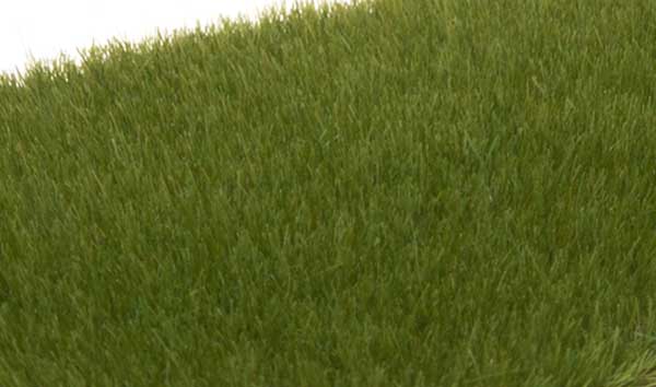 WS Static Grass Drk Green 617