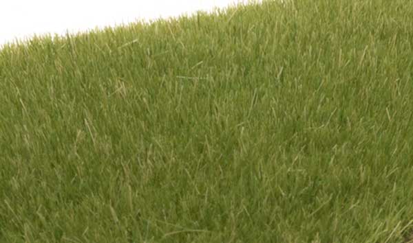 WS Static Grass Med Green 618