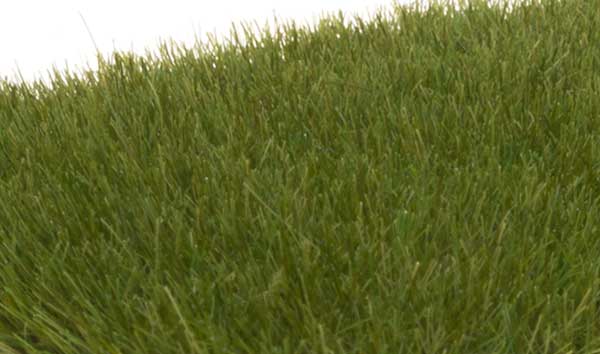 WS Static Grass Drk Grn 621