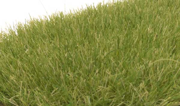 WS Static Grass M Grn 622