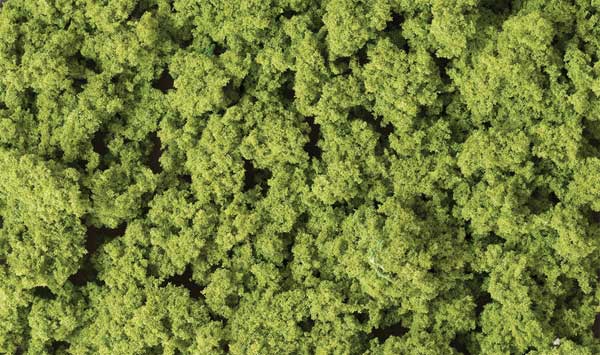 WS Clump Foliage Lt Grn 682