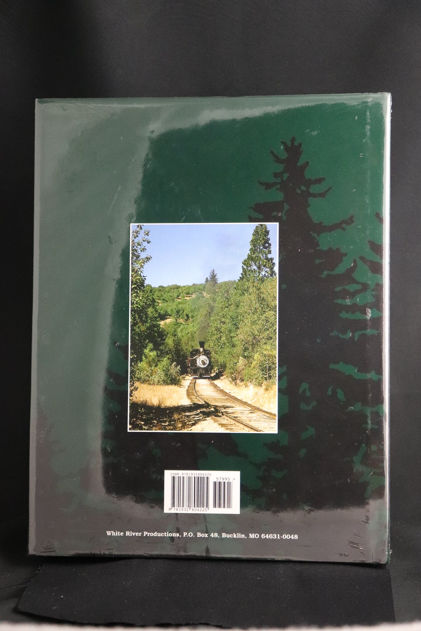 Forest Rails Georgia-Pacific Railroads