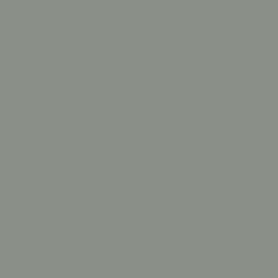 Tru-Color Paint Railroad Color Acrylic Paints - 1oz 29.6mL Weathered Gray Wood