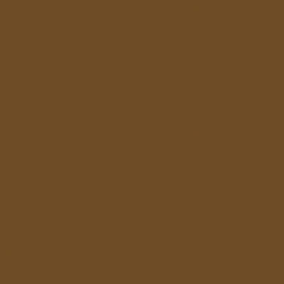 Tru-Color Paint Railroad Color Acrylic Paints - 1oz 29.6mL Seasoned Brown Wood