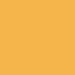 Tru-Color Paint Railroad Color Acrylic Paints - 1oz 29.6mL Light Imitation Gold