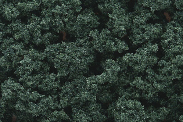 All Scale Woodland Scenics Bushes - 32oz Shaker Dark Green