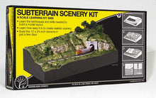 Load image into Gallery viewer, WS N Sub Terrain Scenery 929
