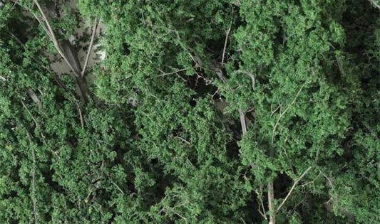WS Fine Leaf Foliage 75 Cu. In 1130