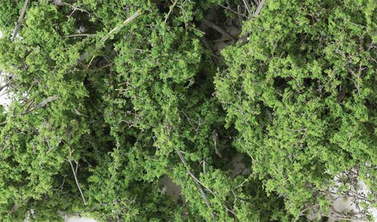 WS Fine Leaf Foliage 75 Cu. In 1131