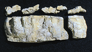 WS Rock Molds Base Rock 1243