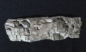 WS Rock Molds Facet Rock