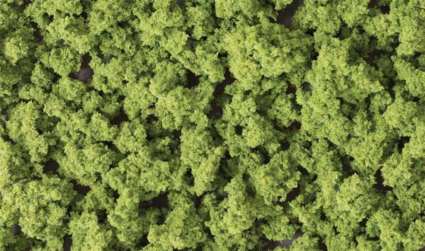 WS Bushes Clump Foliage 18 cu.in Lt Grn