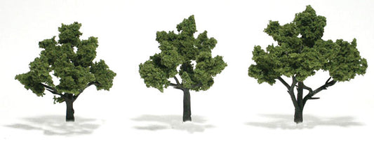 WS GRN Deciduous Trees 2 to 3" 1506