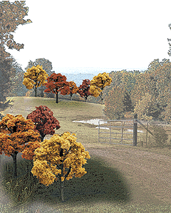 WS Fall Colors Tree Pack 1576