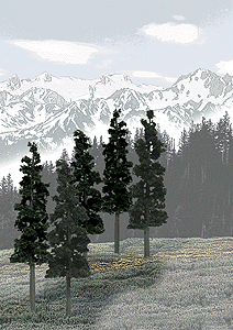 WS Conifer Trees Pack 1582