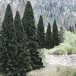 WS Evergreen Tree Pack 1585