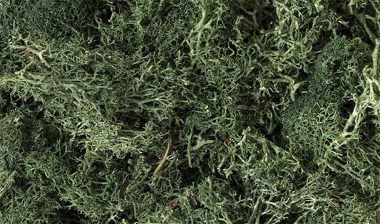 WS Lichen - 1.5qts Drk Grn 164
