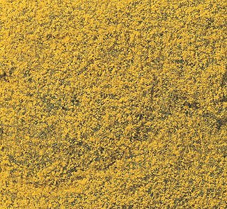 WS Flowering Foliage 100 sq In YLW