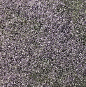 WS Flowering Foliage 100 sq In Prp