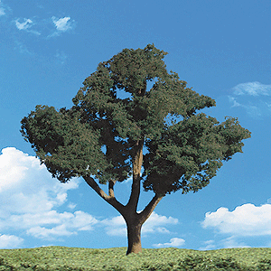 Woodland Scenics Woodland Classic Trees(R) Ready Made - Cool Shade Woodland Scenics #TR3505