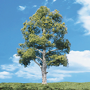 Woodland Classic Trees(R) Ready Made - Waters Edge Woodland Scenics #TR3532
