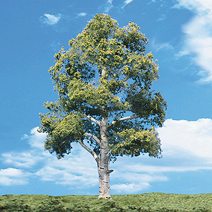 Woodland Classic Trees(R) Ready Made - Waters Edge Woodland Scenics #TR3533