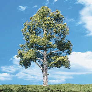 Woodland Scenics Woodland Classic Trees(R) Ready Made - Waters Edge Woodland Scenics #TR3537