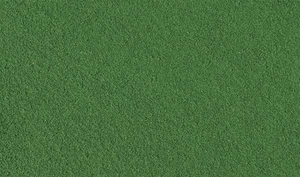 WS Fine Turf 21.6 cubic inches Weeds