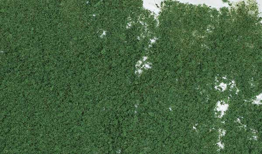 WS Foliage - 90.7 Square Inches Drk Grn