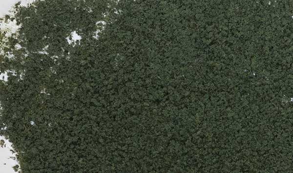 WS Foliage 90.7 Square Inches Conifer GRN