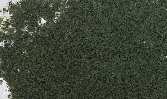 WS Foliage 90.7 Square Inches Conifer GRN