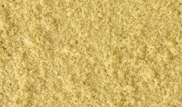 WS Coarse Turf Ylw Grass