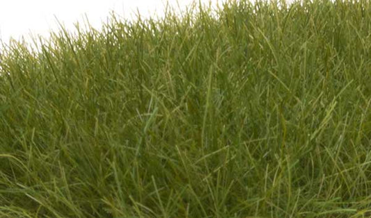WS Static Grass Drk Grn 625