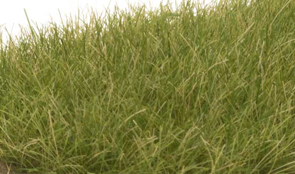 WS Static Grass M Grn 626