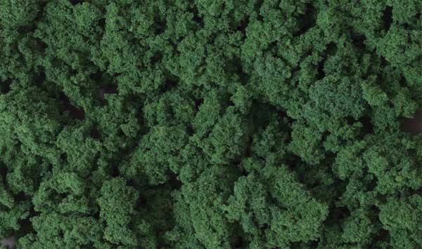 WS Clump Foliage Drk GRN 684