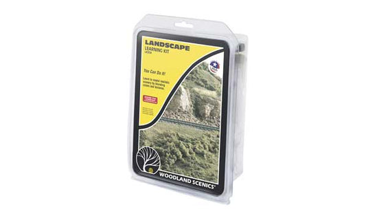 WS Learning Landscape 954