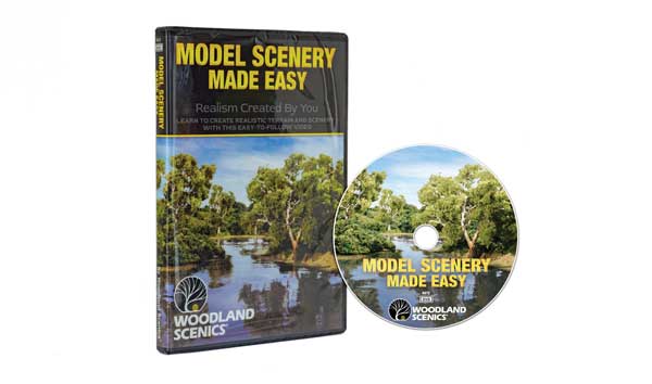 WS Learning DVD Scenery Made Easy