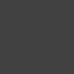 Tru-Color Paint Railroad Color Acrylic Paints - 1oz 29.6mL Graphite